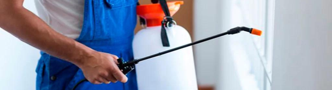 Dedetizadora em no ABC 24 HORAS